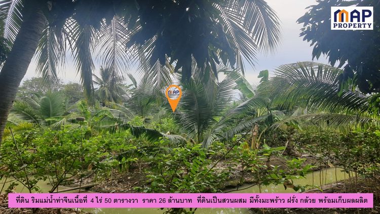ที่ดินแปลงสวย ริมแม่น้ำท่าจีน 4 ไร่ 50 ตารางวา, ภาพที่ 4