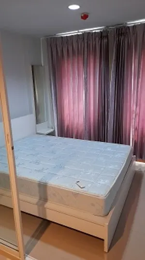 ✨ ให้เช่า ทิวลิป ไลท์ คอนโด (Tulip Light Condo) อาคาร 2 กระทุ่มแบน เพชรเกษม ✨
