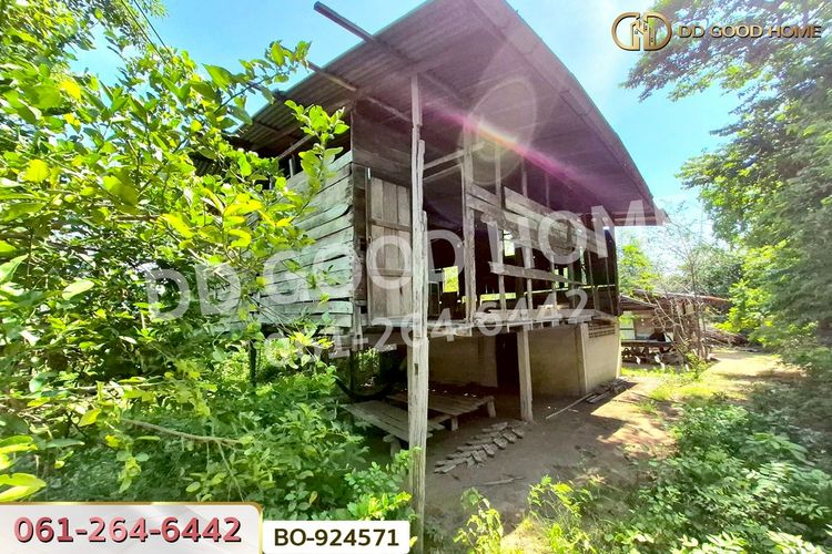 BO-924571 ที่ดินโนนไทย 220.6 ตร.ว. นครราชสีมา ใกล้ที่ว่าการอำเภอโนนไทย, ภาพที่ 4