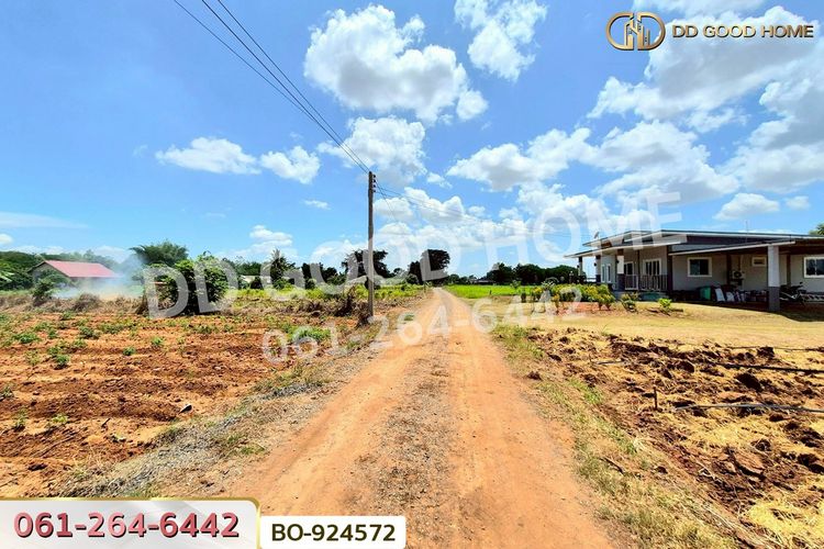 BO-924572 ที่ดินด่านขุนทด 7 ไร่ 45 ตร.ว. นครราชสีมา ใกล้ด่านสีคิ้ว, ภาพที่ 4