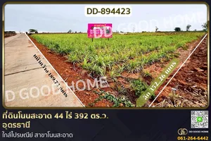 DD-894423 ที่ดินโนนสะอาด 44 ไร่ 392 ตร.ว. อุดรธานี ใกล้ไปรษณีย์ สาขาโนนสะอาด
