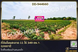 DD-944660 ที่ดินโนนสะอาด 11 ไร่ 349 ตร.ว. อุดรธานี ใกล้โรงเรียนบ้านหนองโก