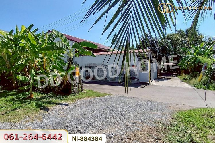 NI-884384 ที่ดินทวีวัฒนา 93.9 ตร.ว. ซ.พุทธมณฑล 27 ใกล้พุทธมณฑล สาย 2, ภาพที่ 4