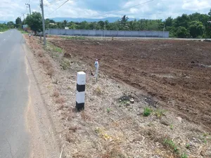 ขายที่ดินโฉนด 2 ไร่ หน้ากว้าง 50 เมตร ยาว 64 เมตรบ้านสำนักหมัน ตำบลนางั่ว อำเภอเมืองเพชรบูรณ์ จังหวัดเพชรบูรณ์