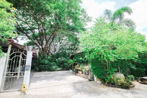 ขายบ้านชั้นเดียว สองหลัง หัวหิน ประจวบ ห้วยมงคล หลังมุมริม 430.8 มีสระว่ายน้ำ บรรยากาศร่มรื่นเย็นสงบส่วนตัว
