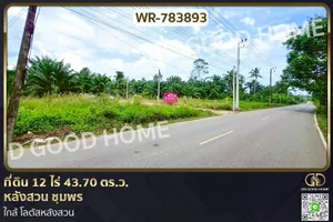 WR-783893 ที่ดิน 12 ไร่ 43.70 ตร.ว. หลังสวน ชุมพร ใกล้ โลตัสหลังสวน