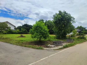 ที่ดินเปล่า สันกำแพงสายใหม่ น้ำไม่ท่วม ใกล้สนามบินใหม่ แปลงหัวมุม เจ้าของขายเอง
