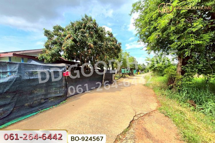 BO-924567 ที่ดินบ้านใหม่ 9 ไร่ 237 ตร.ว. นครราชสีมา, ภาพที่ 4