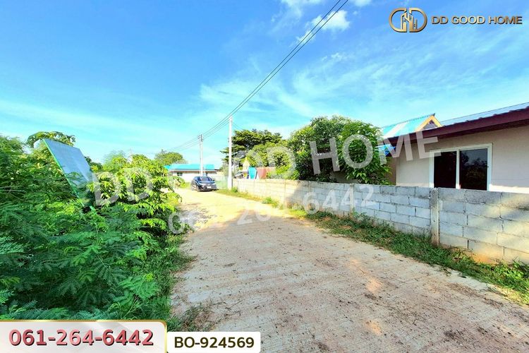BO-924569 ที่ดินขามสะแกแสง 24 ไร่ 194.3 ตร.ว. นครราชสีมา, ภาพที่ 4