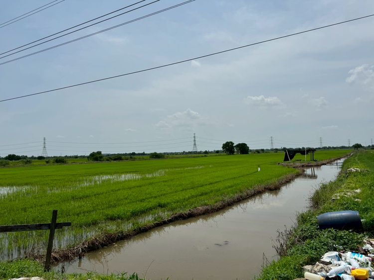 ขายที่ดิน เนื้อที่ 100 ไร่เศษ อ.วังน้อย จังหวัดพระนครศรีอยุธยา, ภาพที่ 4