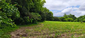 ขายที่ดินเปล่า2เเปลงติดกัน ทำเลดี ด้านหน้าติดถนนดำวิวภูเขา ด้านหลังติดลำธาร อำเภอสันกำแพง จังหวัดเชียงใหม่