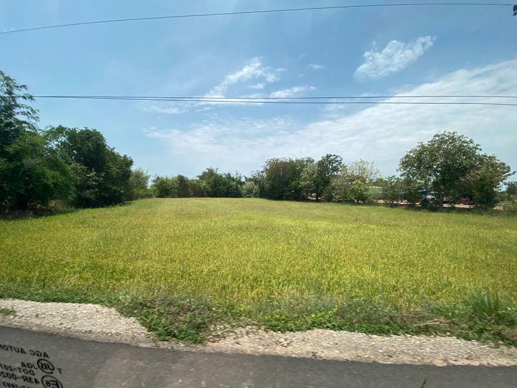 ขายที่นา บ้านลาด อ.เมือง จ.มหาสารคาม, ภาพที่ 4