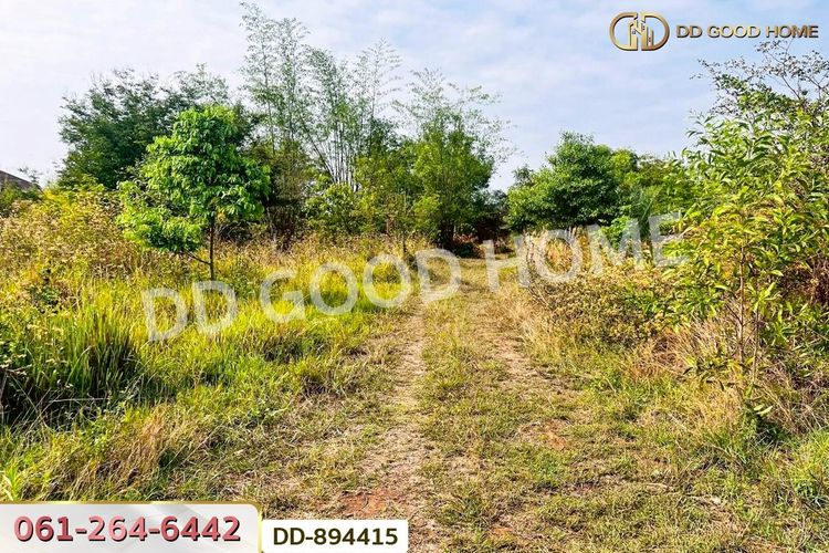 DD-894415 ที่ดินโนนสะอาด 100 ตร.ว. อุดรธานี ใกล้ที่ว่าการอำเภอโนนสะอาด, ภาพที่ 4