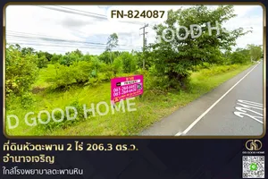 FN-824087 ที่ดินหัวตะพาน 2 ไร่ 206.3 ตร.ว. อำนาจเจริญ ใกล้โรงพยาบาลตะพานหิน