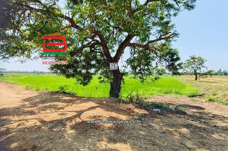ที่ดินเปล่า บรรจบวิถี (วัดถ้ำเข้) เนื้อที่ 8 ไร่ ถนนทางหลวงหมายเลข 340, ภาพที่ 4