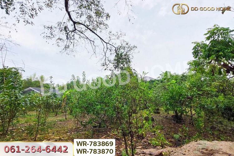 WR-783869/WR-783870 ที่ดินพร้อมบ้านเดี่ยวบ้านฉาง 1 ไร่ 190.7 ตร.ว., ภาพที่ 4