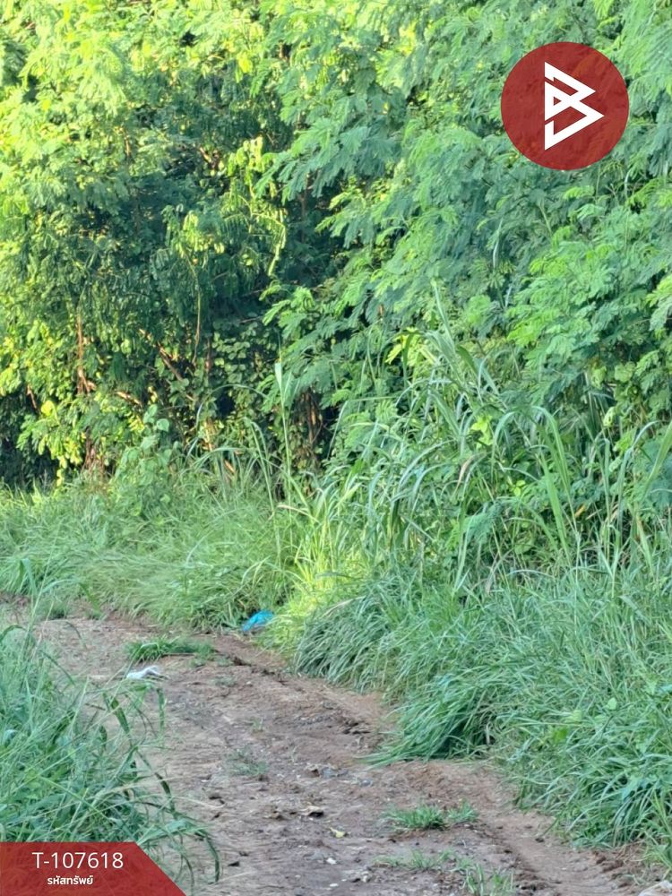 ขายที่ดิน เนื้อที่ 3 งาน 3 ตร.วา บางมัญ สิงห์บุรี, ภาพที่ 4