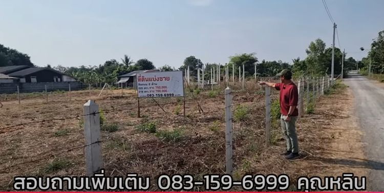 ขายที่ดินถูก! 219ตรว. 700,000บ. อยู่ตรงข้ามโรงบาลพระยุพราช จอมบึง, ภาพที่ 4