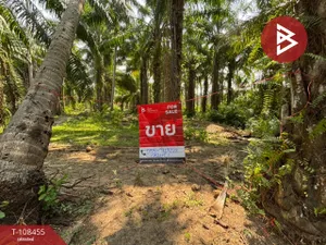 ขายที่ดินชายทะเล เนื้อที่ 4 ไร่ บางสะพาน ประจวบคีรีขันธ์