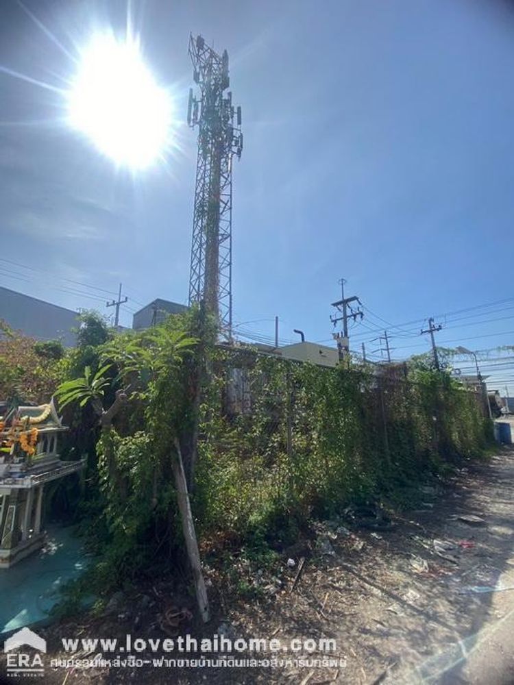 ขายที่ดินพร้อมห้องเช่า บางปะกง ฉะเชิงเทรา พื้นที่ 653 ตรว. เซอิวา จำกัด, ภาพที่ 4