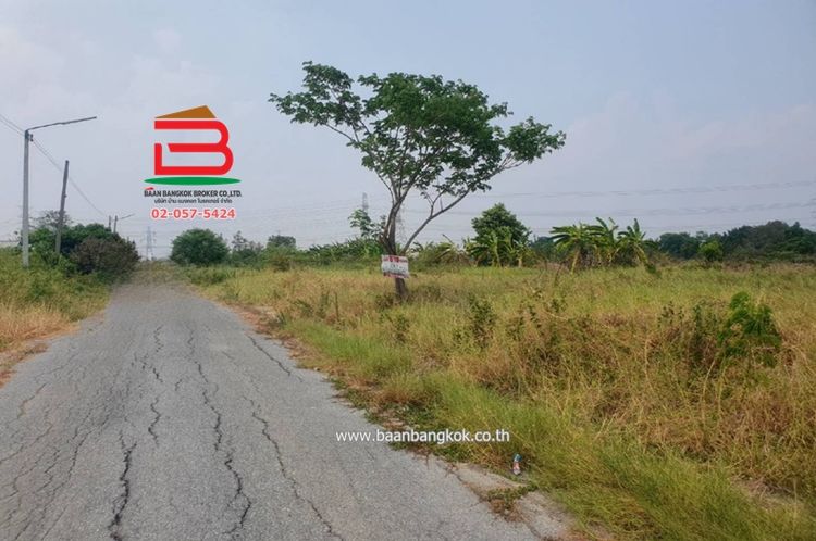 ที่ดินเปล่า หลังสถานีอนามัยบึงชำอ้อ คลองแปด เนื้อที่ 100 ตรว., ภาพที่ 4