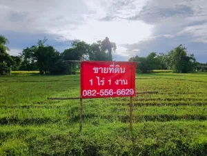 ขายที่ดอยสะเก็ด จ.เชียงใหม่ 