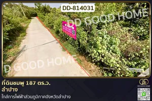 DD-814031 ที่ดินชมพู 187 ตร.ว. ลำปาง ใกล้การไฟฟ้าส่วนภูมิภาคจังหวัดลำปาง