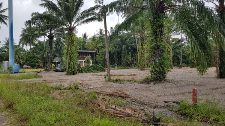 ขาย ที่ดิน ตำบลขนอม อำเภอขนอม จังหวัดนครศรีธรรมราช, ภาพที่ 4