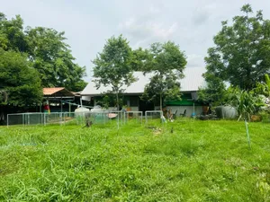 ขายที่สวยโคกสูง 4.8 ล้าน ใกล้โรงเรียนวัดสว่างอารมณ์