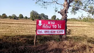 ขายที่ดิน 10 ไร่ แปลงหัวมุม ติดถนน พร้อมโฉนดครุฑแดง ราคาเพียง 7 ลบ. ถูกสุดในย่านนี้ อ.ลำปลายมาศ จ.บุรีรัมย์