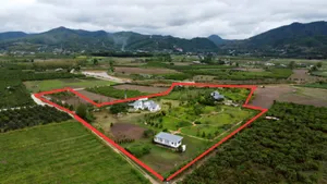 ขายที่ดินพร้อมบ้านพักตากอากาศ วิวเขาล้อมรอบ เงียบสงบ ตรงข้ามวัดท่าตอน จ.เชียงใหม่ 