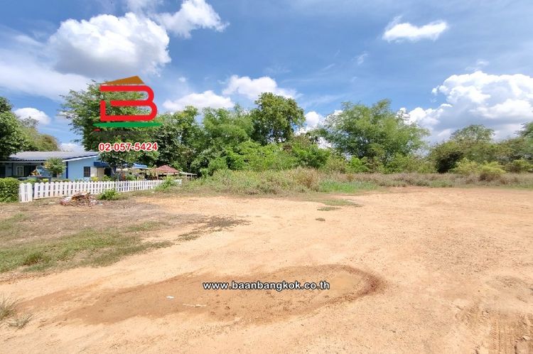 ที่ดินเปล่า พนมสารคาม-สนามชัยเขต ซ.3 (ซ.วัดดอนทอง) เนื้อที่ 880 ตารางวา, ภาพที่ 4