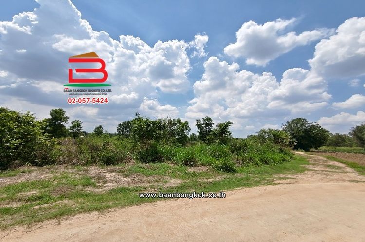 ที่ดินเปล่า บ้านหนองแสง เนื้อที่ 23-0-22 ไร่ ซ.เทศบาลตำบลบ้านซ่อง 34, ภาพที่ 4