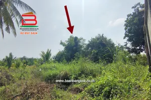 ที่ดินเปล่า บ้านหนองหัวเรือ ซ.6 เนื้อที่ 116 ตรว.ทางหลวงชนบท นว.3102 อ.เก้าเลี้ยว จ.นครสวรรค์