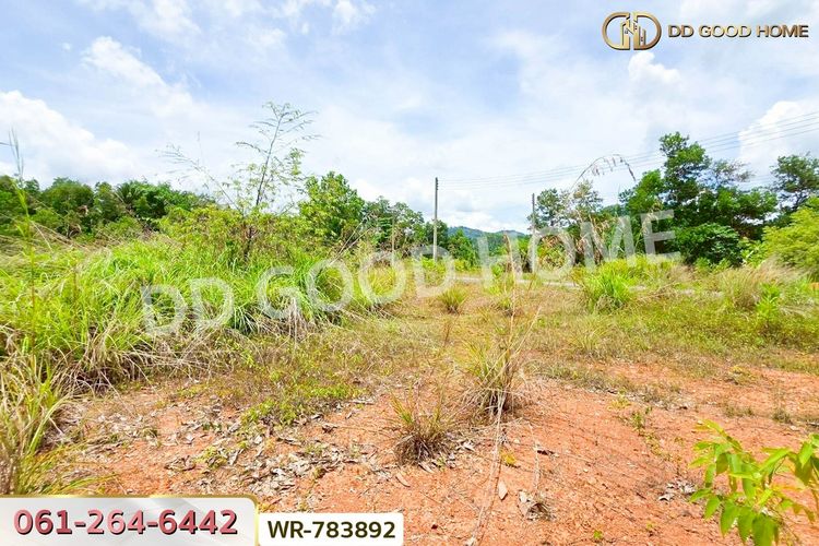 WR-783892 ที่ดินพะโต๊ะ 90 ตร.ว. ชุมพร ใกล้โรงพยาบาลพะโต๊ะ, ภาพที่ 4
