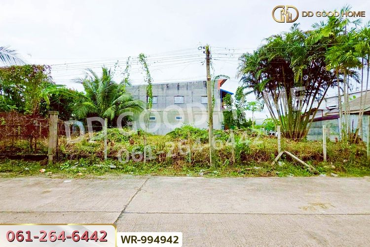 WR-994942 ที่ดินคอหงส์ 96.1 ตร.ว. ซ.รัฐประชา หาดใหญ่ ใกล้เซ็นทรัล, ภาพที่ 4