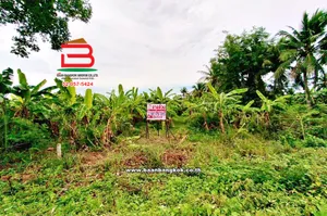 ที่ดินเปล่า เนื้อที่ 12-0-46.2 ไร่ ซอยปลายน้ำ ใกล้แยกปราณบุรี ถนนเพชรเกษม ตำบลเขาน้อย อำเภอปราณบุรี ประจวบคีรีขันธ์