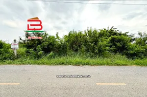 ขาย/เช่า ที่ดินเปล่าถมแล้ว ซอยกำนันสมจิตร เนื้อที่ 127 ตร.ว (ใกล้มอเตอร์เวย์ M81) ตำบลบางแม่นาง อำเภอบางใหญ่ จังหวัดนนทบุรี