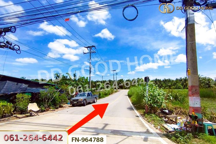 FN-964788 ที่ดินบ้านแพ้ว 2 ไร่ สมุทรสาคร ใกล้วัดกระโจมทอง, ภาพที่ 4