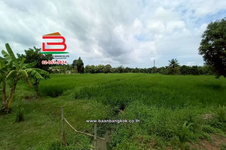 ที่ดินเปล่า บ้านเนินหอม(ม.4) เนื้อที่ 29-0-52 ไร่ ( เทศบาลซอย 12), ภาพที่ 4