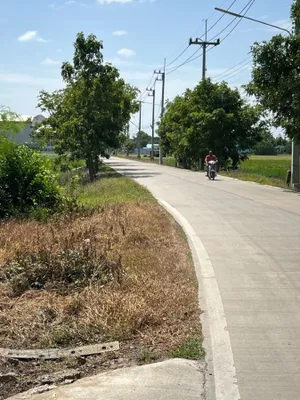 ขายที่ดินถมแล้ว 247 ตรว. ติดถนนคอนกรีต ถ.เลียบคลองบางโพธิ์ใต้ ปากซอยทับทิมแลนด์ 2 หมู่ 7 ปทุมธานี