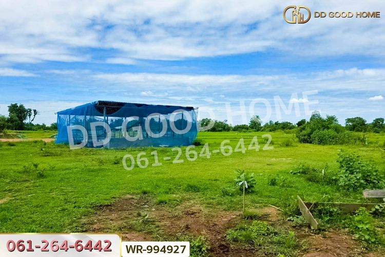 WR-994927 ที่ดินหันคา 149 ไร่ 114 ตร.ว. ชัยนาท ใกล้โรงพยาบาลหันคา, ภาพที่ 4