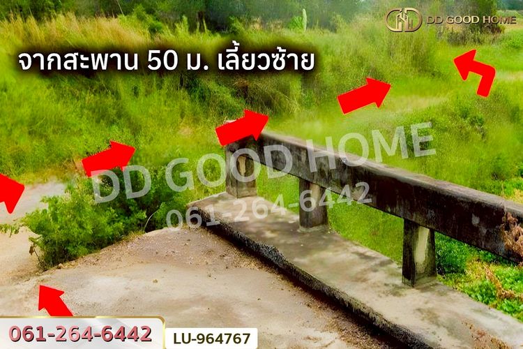 LU-964767 ที่ดินหนองจอก 335 ตร.ว. ใกล้ แม็คโคร หนองจอก, ภาพที่ 4