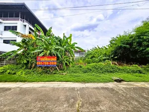 ขายที่ดินแจ้งวัฒนะ หลักสี่ 100 ตร.วา ใกล้รถไฟฟ้าสายสีชมพู สถานีแจ้งวัฒนะ14