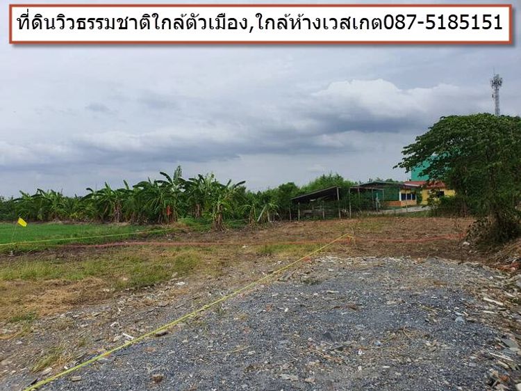 ขายที่ดินบางบัวทอง 0875185151 ใกล้ตลาด,เซเว่น,เซ็นทรัลเวสเกต, ภาพที่ 4