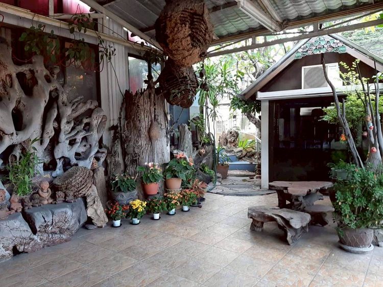 ขายด่วน บ้าน 4 ชั้นพร้อมที่ดิน +บ้านชั้นเดียว1หลัง แปลงมุม  เนื้อที่, ภาพที่ 4