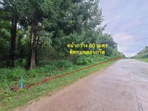 ขายที่ดินลำปาง แถมต้นสัก 9ไร่ 3 งาน 26 ตรว ติดถนนคอนกรีต น้ำ-ไฟเข้าถึง ต.บุญนาคพัฒนา เมือง ลำปาง