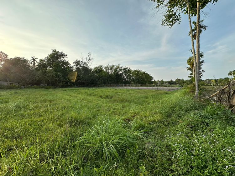 🌳 ขายที่ดินเปล่าเกือบ 5 ไร่ ราคาถูกกว่าตลาด! 📍 ต.ชาก อ.บ้านค่าย 4 ไร่, ภาพที่ 4