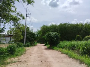 ให้เช่า ที่ดิน 2ไร่ 2งาน นิคมพัฒนา ซอย2 ใกล้ ปิ่นทอง6 CPGC ใกล้ตลาด ใกล้อ่างเก็บน้ำดอกกราย