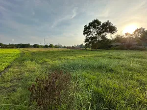 🌳 ขายที่ดินเปล่าเกือบ 5 ไร่ ราคาถูกกว่าตลาด! 📍 ต.ชาก อ.บ้านค่าย จ.ระยอง ที่ดิน 4 ไร่ 3 งาน 41 ตรว. ห่างถนนใหญ่ ชาก–เชิงเนิน เพียง 400 เมตร 🚗